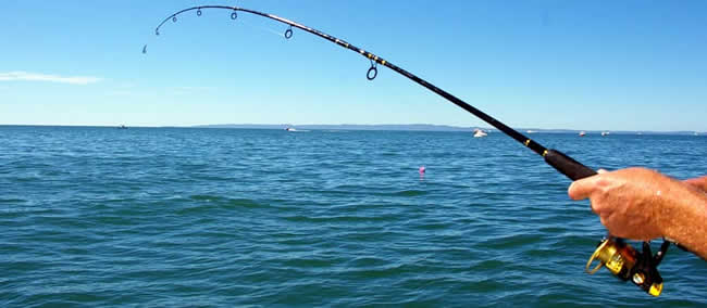 beach fishing poles Beachwalker Surf Rod Combo / 10' Toadfish designers built these rods from the blank up with a custom Toadfish reel seat Rod Rental | Lollipop Inc.